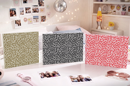 Albums photos LeoPop